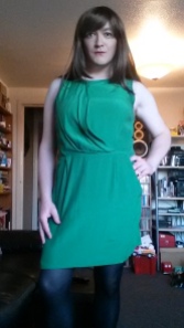 Anna Secret Poet New Green Dress 2