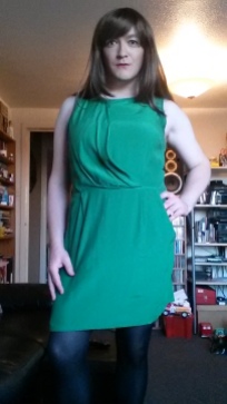 Anna Secret Poet New Green Dress 2